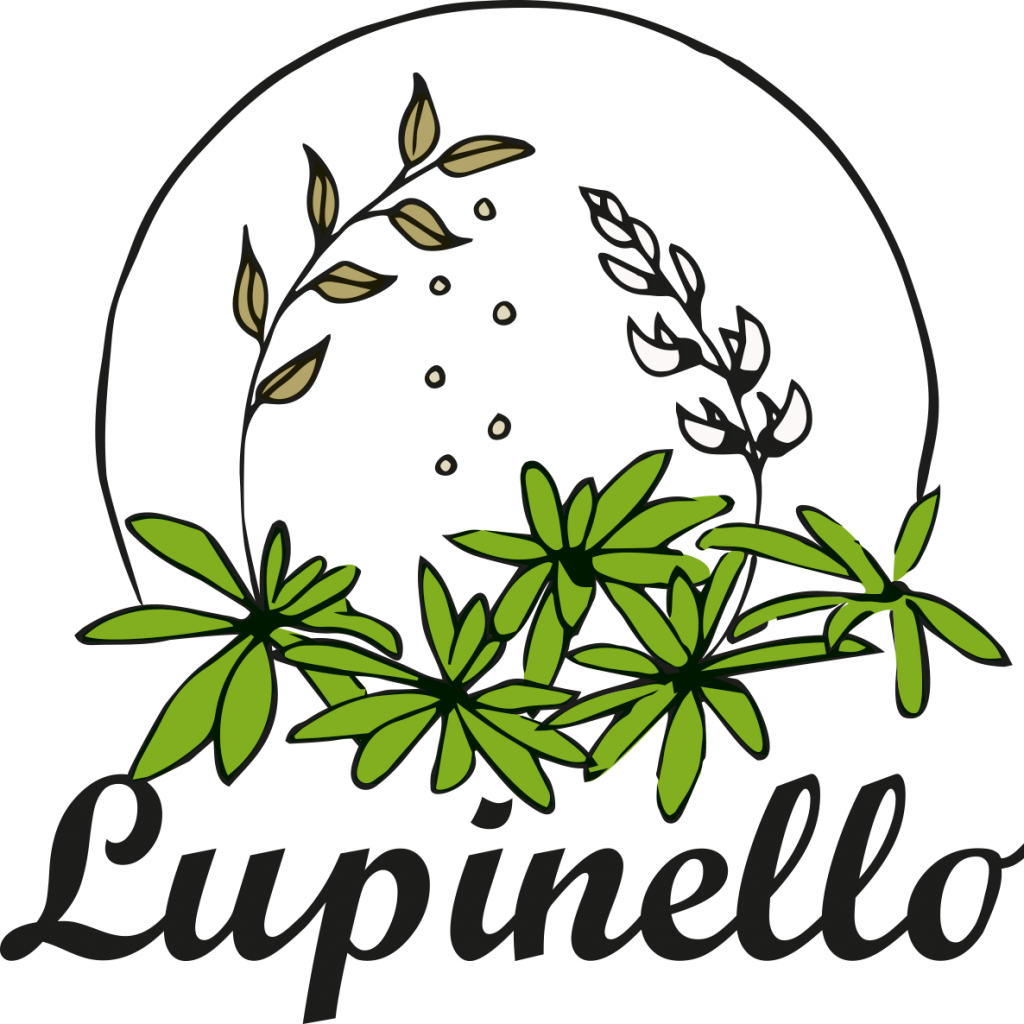 2015 12 logo lupinello png