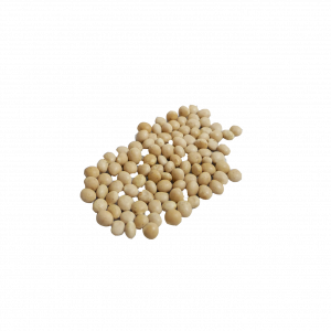 lupinensamen freigestellt